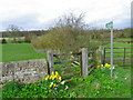 Footpath near Staindrop