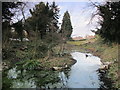 Small pond on a minor tributary of the Kyd Brook, Darrick Wood (2)