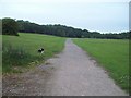 Path and Playing Field at Parkwood Springs