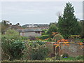 Overlooking Manor Farm, East Lavant