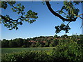 View towards Fulbeck