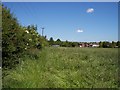 Overgrown footpath near Hart Common