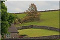 Tree Down, Wheeldon Trees