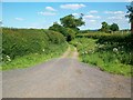 Ford Lane near Aldford