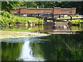 Basingstoke Canal by Pirbright Common