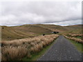 On the bridleway above Eisteddfa Gurig