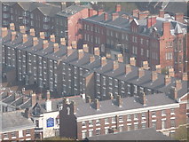 SJ3589 : Liverpool: chimneypots of Upper Parliament Street by Chris Downer