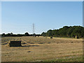 Making hay while the sun shines