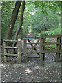 TL7806 : The gate to Post 7 by Roger Jones