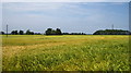 Field opposite Debenham Hall