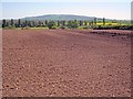 Arable land at Baughton Hill Farm