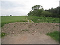 Blocked track on East Ferry North Carrs