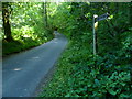 Bridleway junction with Cob Lane