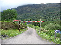 NN1661 : Track leading to a picnic area on the banks of Loch Leven. by James Denham
