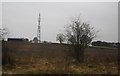 Radio Transmitter, Climbing Tree Farm