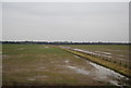 Farmland near Pegswood