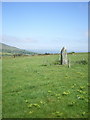 SN0635 : Trefach standing stone / menhir by Richard Law