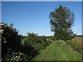 The bridleway to Fulbeck