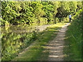 SJ9396 : Peak Forest Canal by David Dixon