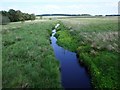 Forrestfield Moss, North Calder Water