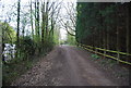 Downs Link near Slinfold