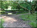 Footpath near the Bishopston Valley