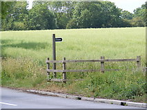 TM2665 : Footpath to World's End Road by Geographer