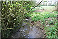 TQ9244 : Small stream near Pluckley Thorne by N Chadwick