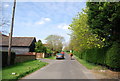 Horse riding on Lambden Rd