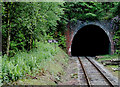 Cheddleton Railway Tunnel, Staffordshire