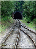 SJ9853 : Cheddleton Railway Tunnel, Staffordshire by Roger  D Kidd