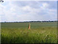 Footpath to Kenton