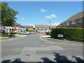 Looking from Stow Crescent into Glensha Gardens