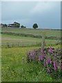 Footpath between Hollins and Wigley