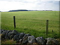 Fields near Wester Cairnhill