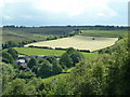 View to field above Harewood Grange