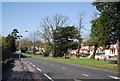 Shirley Rd (A232)