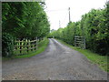 Track to The Oranges Farm on the Sherborne estate