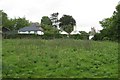 Houses, south side of Frogmore