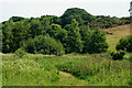 SZ5785 : View Towards Alverstone Mead Nature Reserve by Peter Trimming