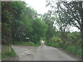 Lane to Upper Ardnagrask