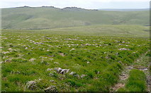 SX6178 : West of Higher White Tor by Graham Horn