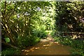 Footpath in the Horspath Parish Council Wildlife Conservation Area