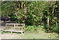 Bench by the Greensand Way, Crockhamhill Common