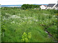 Stream and conservation area