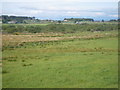 Fields east of Hare Moss