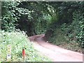 Public footpath up Holwell Combe