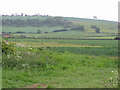 Fields west of Long Compton