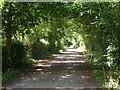 Driveway to Alveston Farm