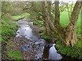 Park Brook near Scorton